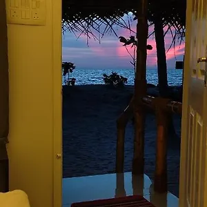 Bliss India